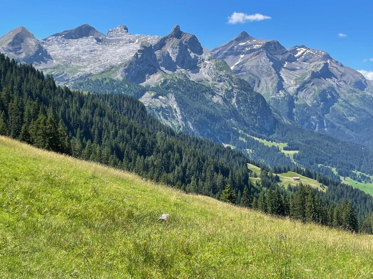 Alpen Charme - Chalet D'Hotes Et Spa Gsteig Luaran gambar